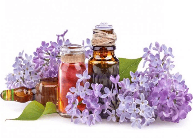 L'infusione di lilla
